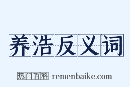 养浩反义词是什么意思的图片